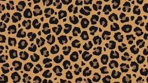 Leopard Print