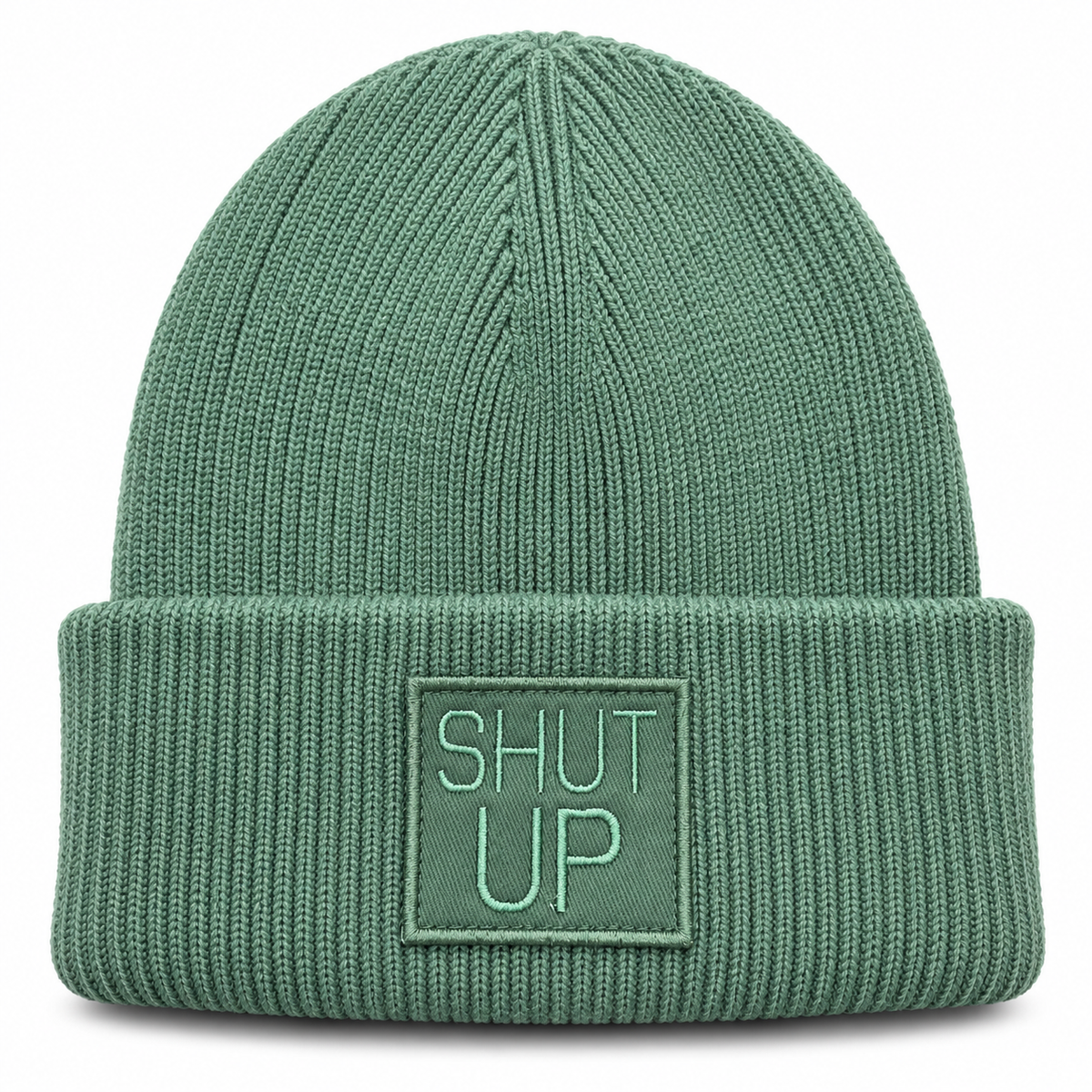 Cuffed Beanie Mint